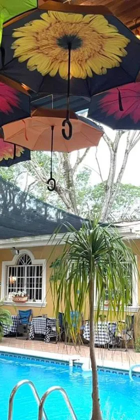 Refugio de la Montaña B&B，位于圣佩德罗苏拉的酒店