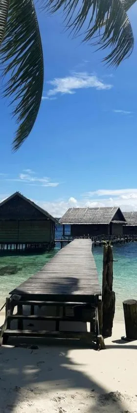 Frances Homestay - Raja Ampat，位于Pulau Mansuar的酒店