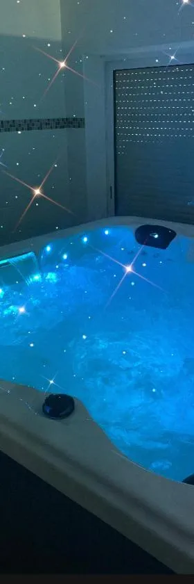 Chez SOPHIE, logement avec jacuzzi et salle cinéma，位于Altviller的酒店