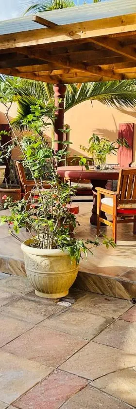 Effie Mountain View Gecko Villa，位于马埃岛的酒店