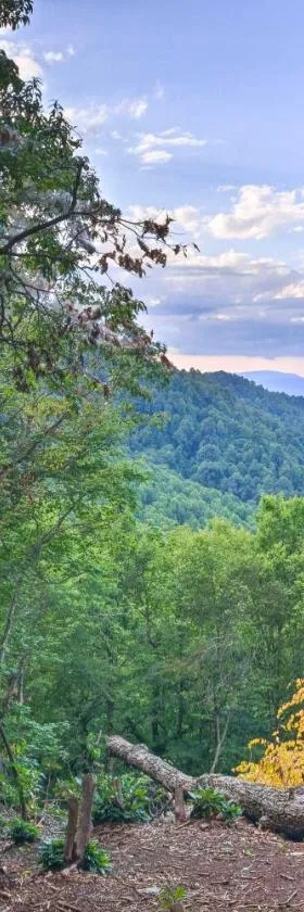 8 Acres and Hiking Trails Little Switzerland Escape，位于Spruce Pine的酒店