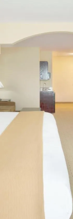 乔治敦快捷假日酒店，位于乔治城的酒店
