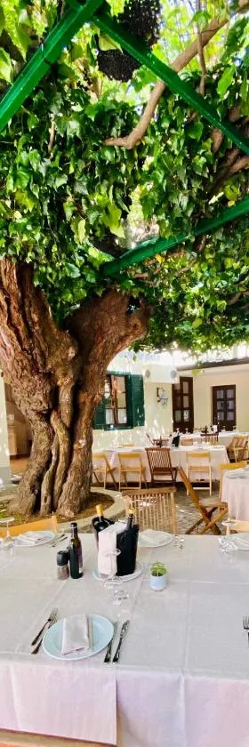 Antica locanda al Gelso，位于蒙法尔科内的酒店
