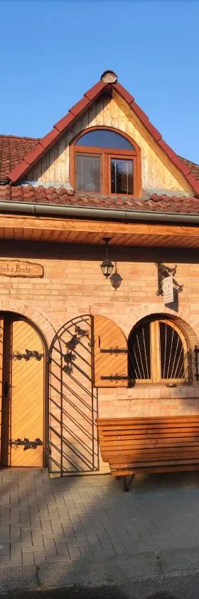 Vinný sklep u Brodů，位于Vacenovice的酒店