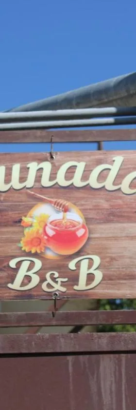 Runada B&B，位于Sisian的酒店