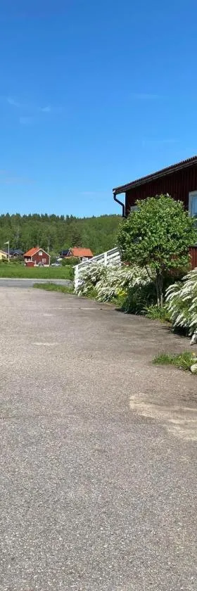 Skogshemmet，位于卢德维卡的酒店