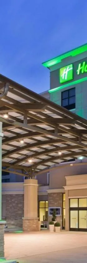 Holiday Inn - Chicago - Tinley Park by IHG，位于廷利公园的酒店