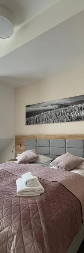 Aparthotel Apartamenty Czarna Góra 410，位于西恩纳的酒店