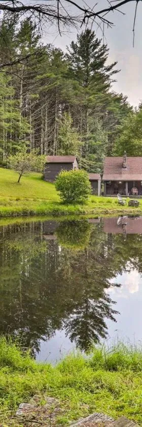 Rustic Cabin with Patio and Pond on Blue Ridge Parkway，位于Glade Valley的酒店