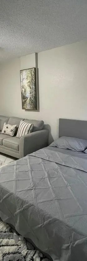 Adorable Suite in Tampa.，位于坦帕的酒店