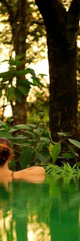 Wayanad Wild - A CGH Earth Experience，位于维特利的酒店