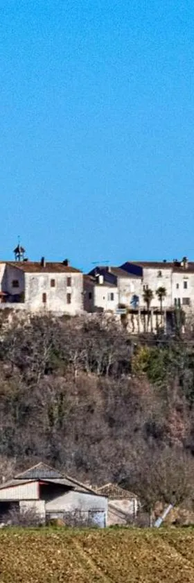 Bastide de Tournon d'Agenais，位于图尔农达日奈的酒店