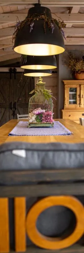 HORTUS apartament z klimatyzacją，位于博莱斯瓦维茨的酒店