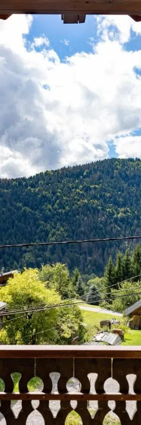 Appartement de la Joux，位于Saint-Sigismond的酒店