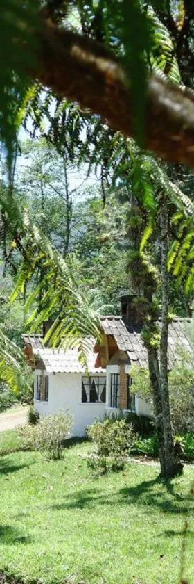 Posada Montaña del Quetzal，位于科万的酒店