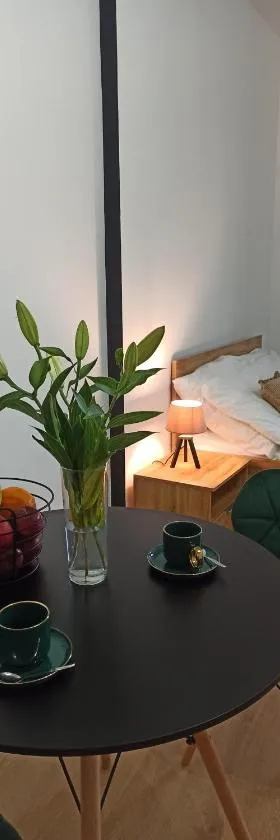 Cztery Kąty w Rynku，位于瓦乌布日赫的酒店