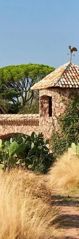 Château Saint Roux Le Luc-Le Cannet des Maures，位于勒卡内代莫尔的酒店