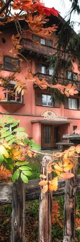 Chalet Speciale - Celerina，位于切勒里纳的酒店