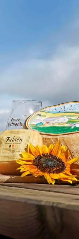 Gîte familial ferme des aujes falaen，位于Onhaye的酒店