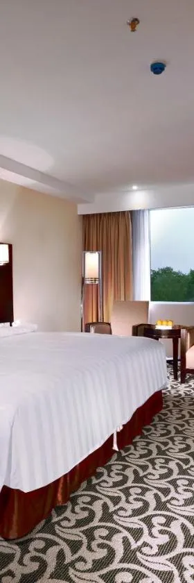 Aston Karimun City Hotel，位于丹戎巴來卡里汶的酒店