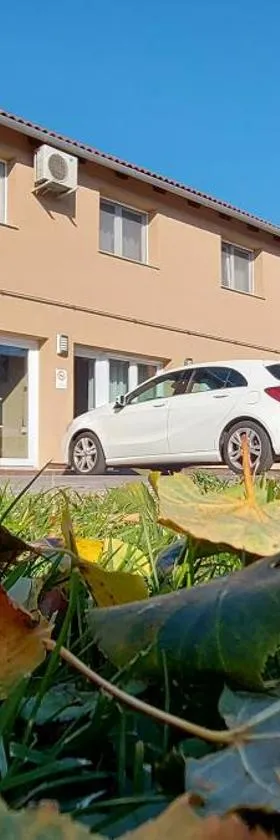 Park 84 Vendégház，位于韦切什的酒店