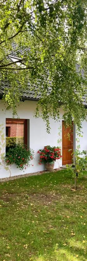 Winnica De Sas，位于Krośnice的酒店