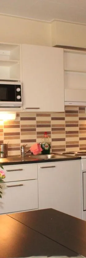 Holiday Home Kokki，位于罗瓦涅米的酒店