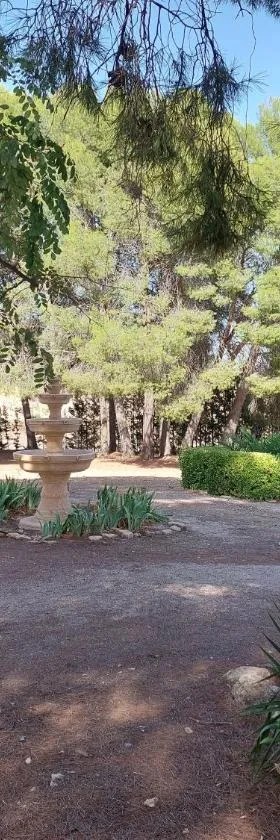 Casa Rural "La villa del pistacho"，位于Archivel的酒店