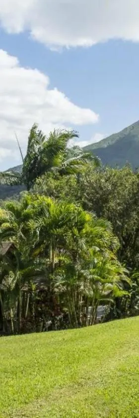 Arenal Paraiso Resort Spa & Thermo Mineral Hot Springs，位于福尔图纳的酒店