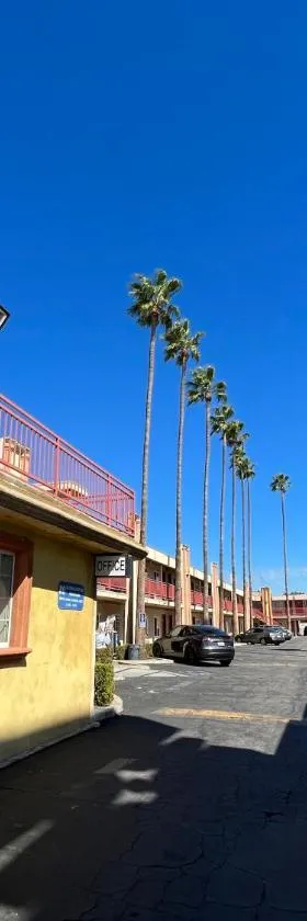 Palm Tree Inn，位于北山的酒店