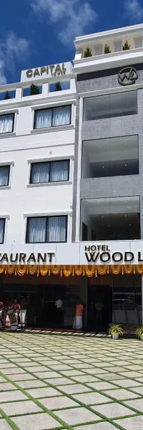 Hotel Woodlark，位于Kattappana的酒店