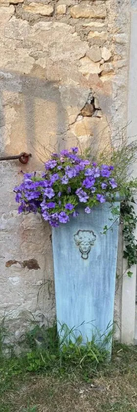Suite privée avec accès jardin en coeur de village，位于Guerville的酒店