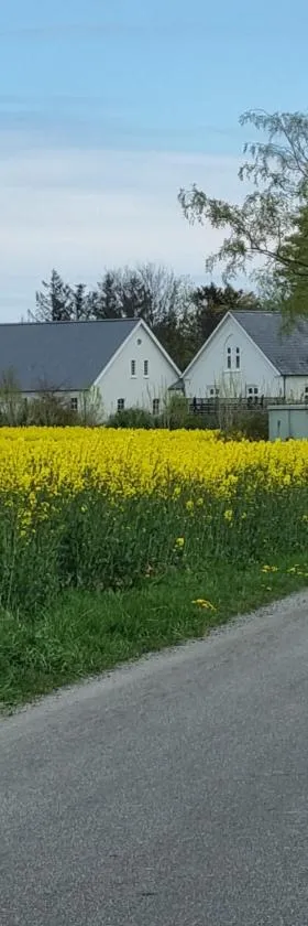 Birkelund BnB，位于奥特鲁普的酒店
