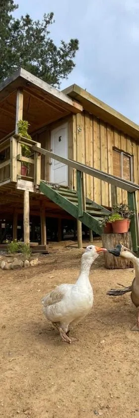 Cabaña los Gansos Playa Bosque Grill Wi-Fi TV，位于拉古纳贝尔德的酒店