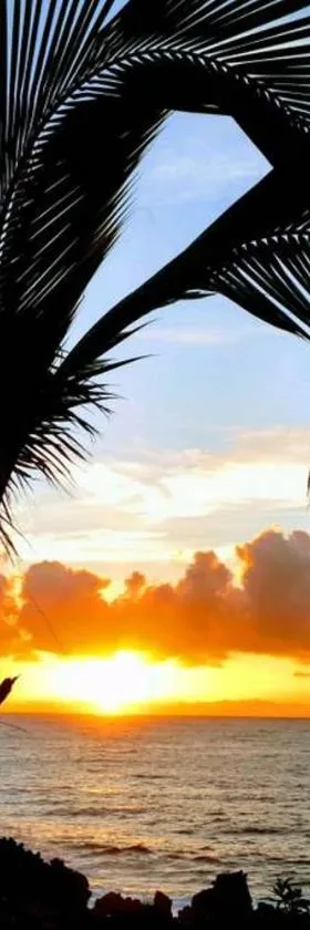Pahoa Paradise Palms，位于帕霍阿的酒店