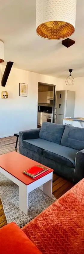 Appartement coeur centre-ville cosy et chaleureux rue Carnot，位于香槟沙隆的酒店