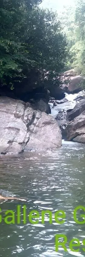 Gallene Gala Nature Resort，位于基图尔格勒的酒店