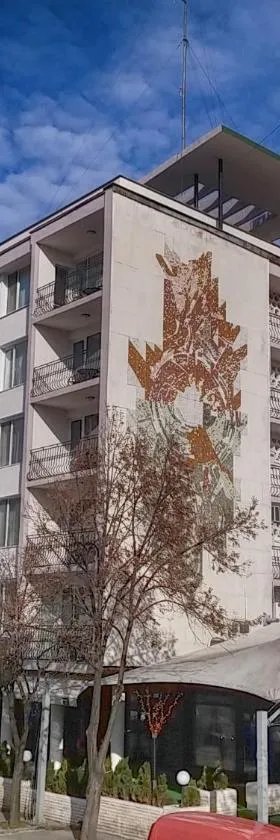 波诺尼亚酒店，位于维丁的酒店