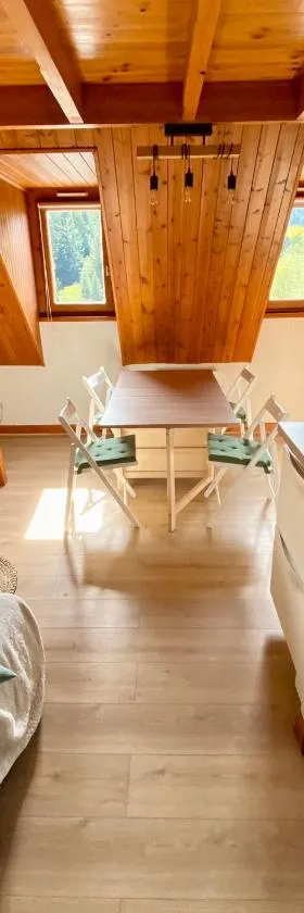 Appartement Chalet à 1400m - Station du Mourtis，位于Boutx的酒店