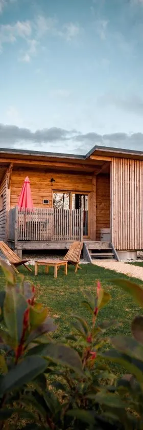Les Lodges de la ViaRhôna / cabane-spa，位于Virignin的酒店