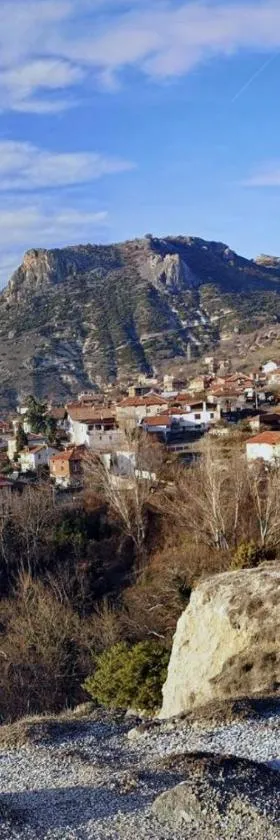 VillaPo，位于Ilindentsi的酒店