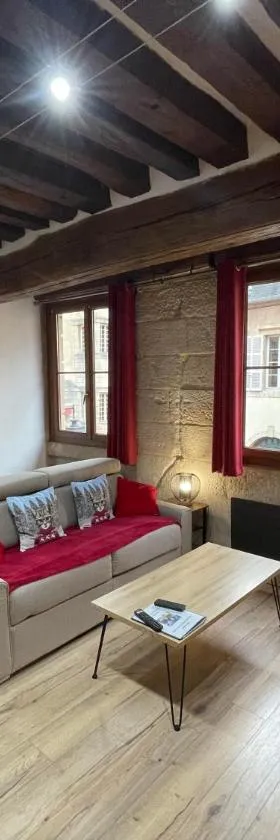 Appartements chez Delphine et Guillaume au coeur de Semur en Auxois，位于欧苏瓦地区瑟米的酒店