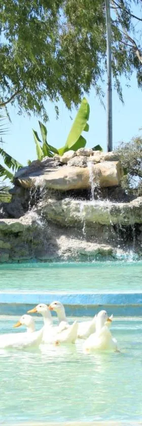 Bambi Lodge，位于Grootfontein的酒店