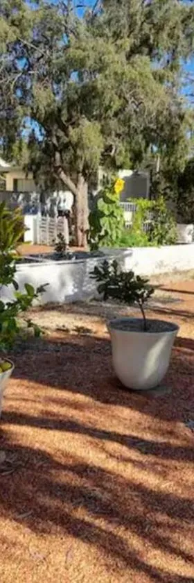 Lavender Cottage - At home in Lightning Ridge，位于莱特宁岭的酒店