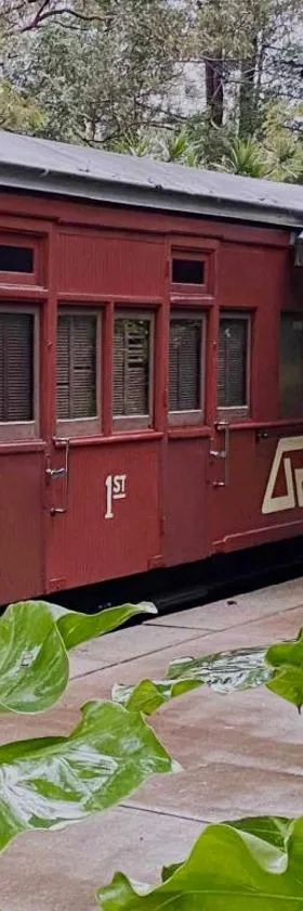 Mt Nebo Railway Carriage and Chalet，位于Mount Nebo的酒店