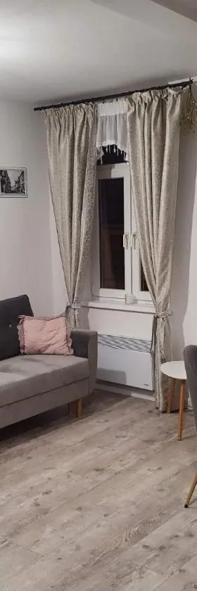 Apartament Kominkowy przy Parku，位于波乌琴-兹德鲁伊的酒店