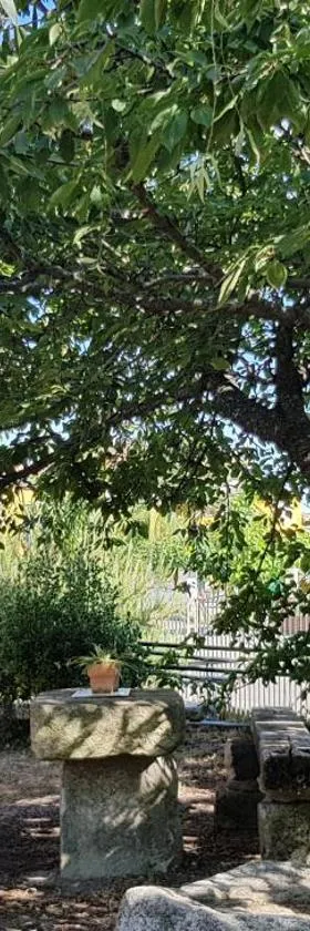 Apartamentos en sierra de gata ALMA，位于Villamiel的酒店