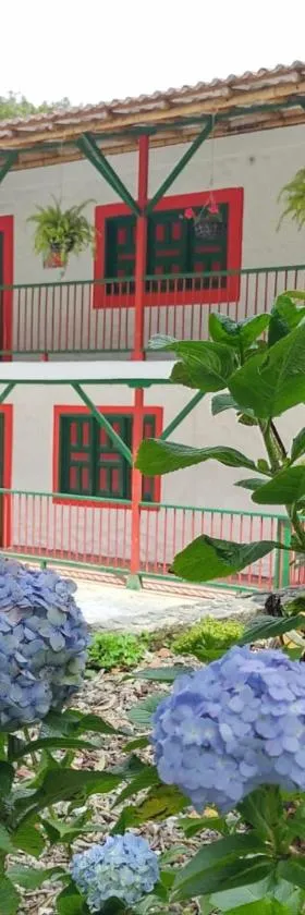 Casa Flórez Hotel Campestre，位于伊瓦格的酒店