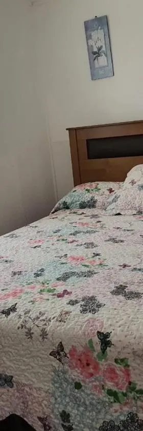 Casa Quelita，位于蓬塔乔罗斯的酒店