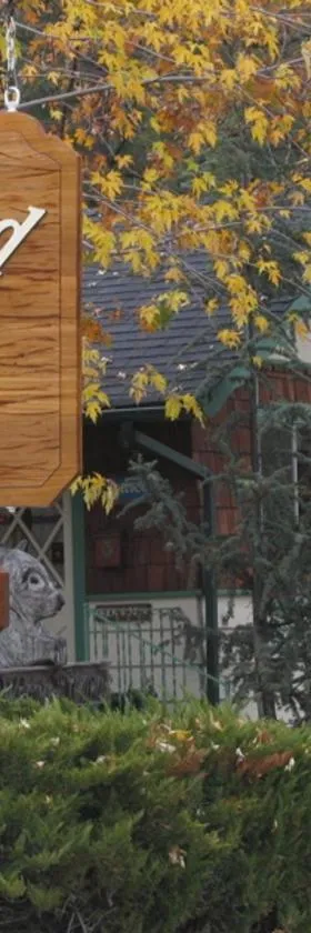 Idyllwild Inn，位于爱德怀的酒店